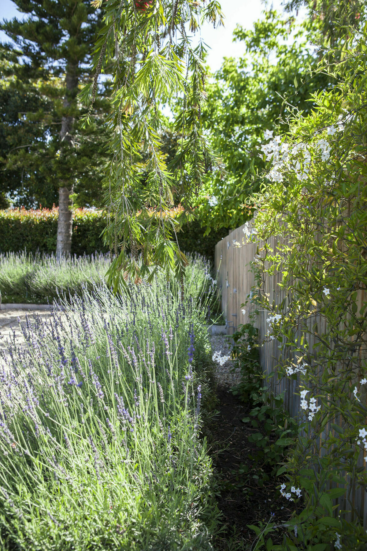 33 Strawberry Lane - Studio&cottage *