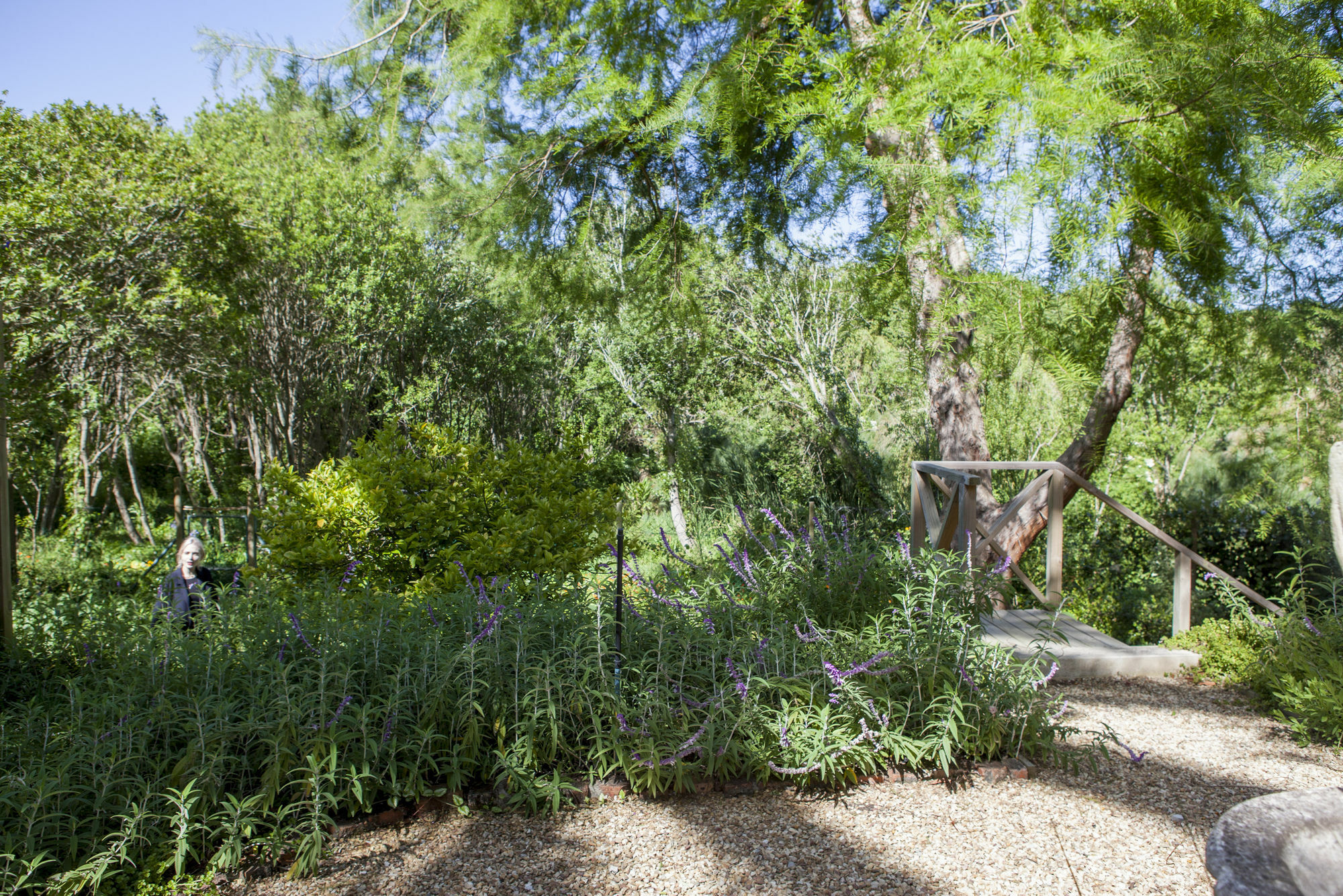 33 Strawberry Lane - Studio&cottage * Kapstadt